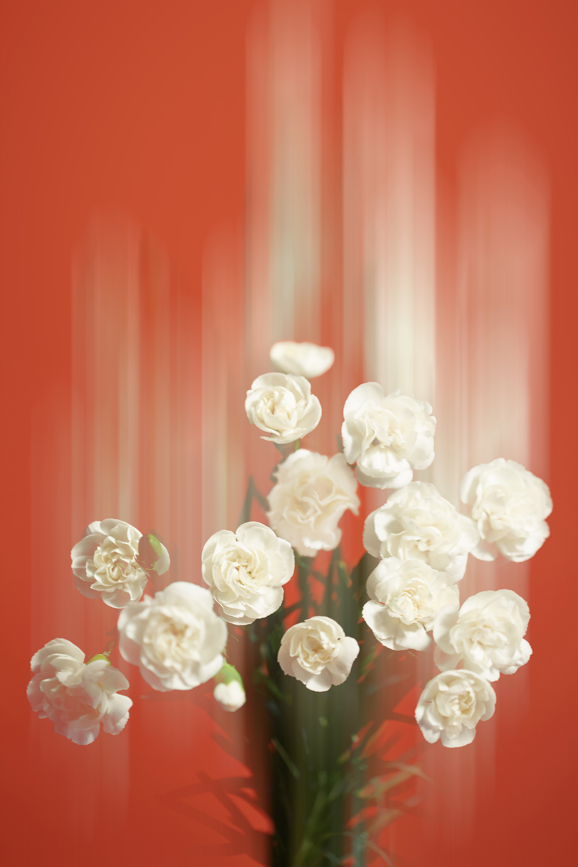 visit 대표이미지