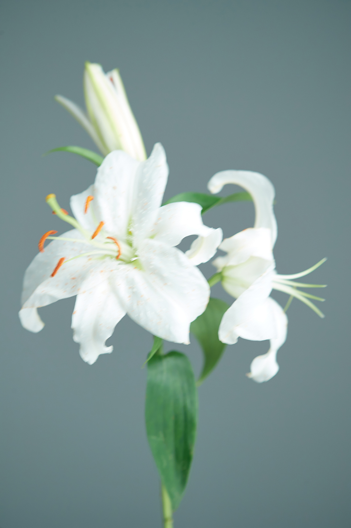 visit 대표이미지