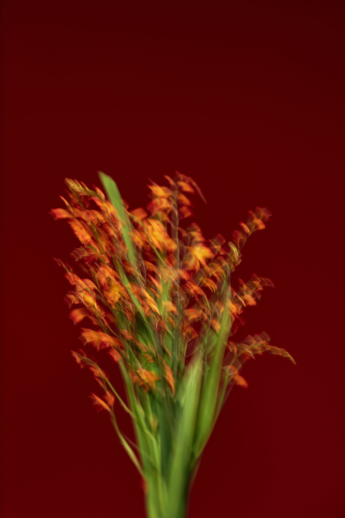 visit 대표이미지