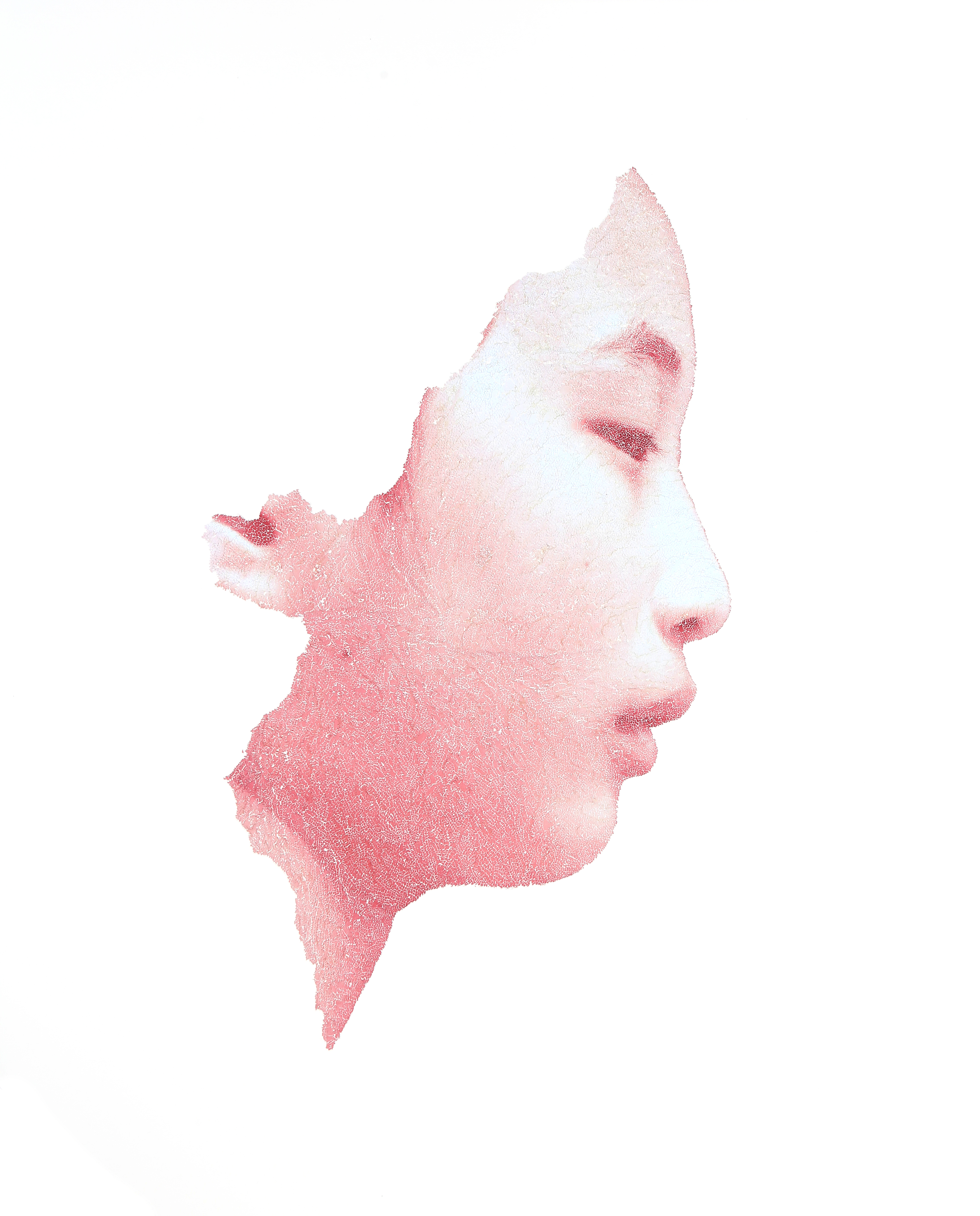 visit 대표이미지