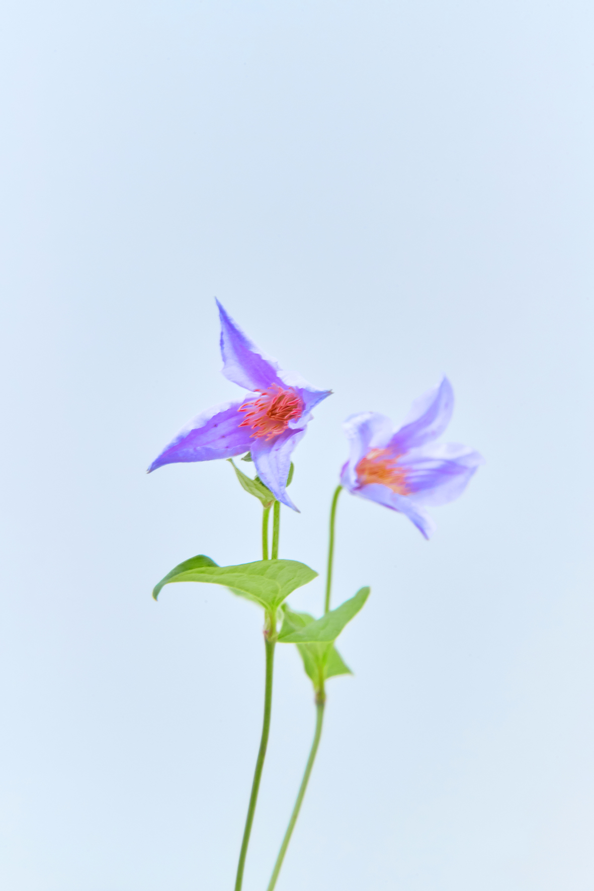 visit 대표이미지