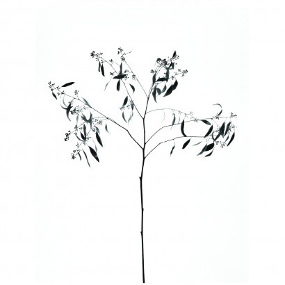 visit 대표이미지