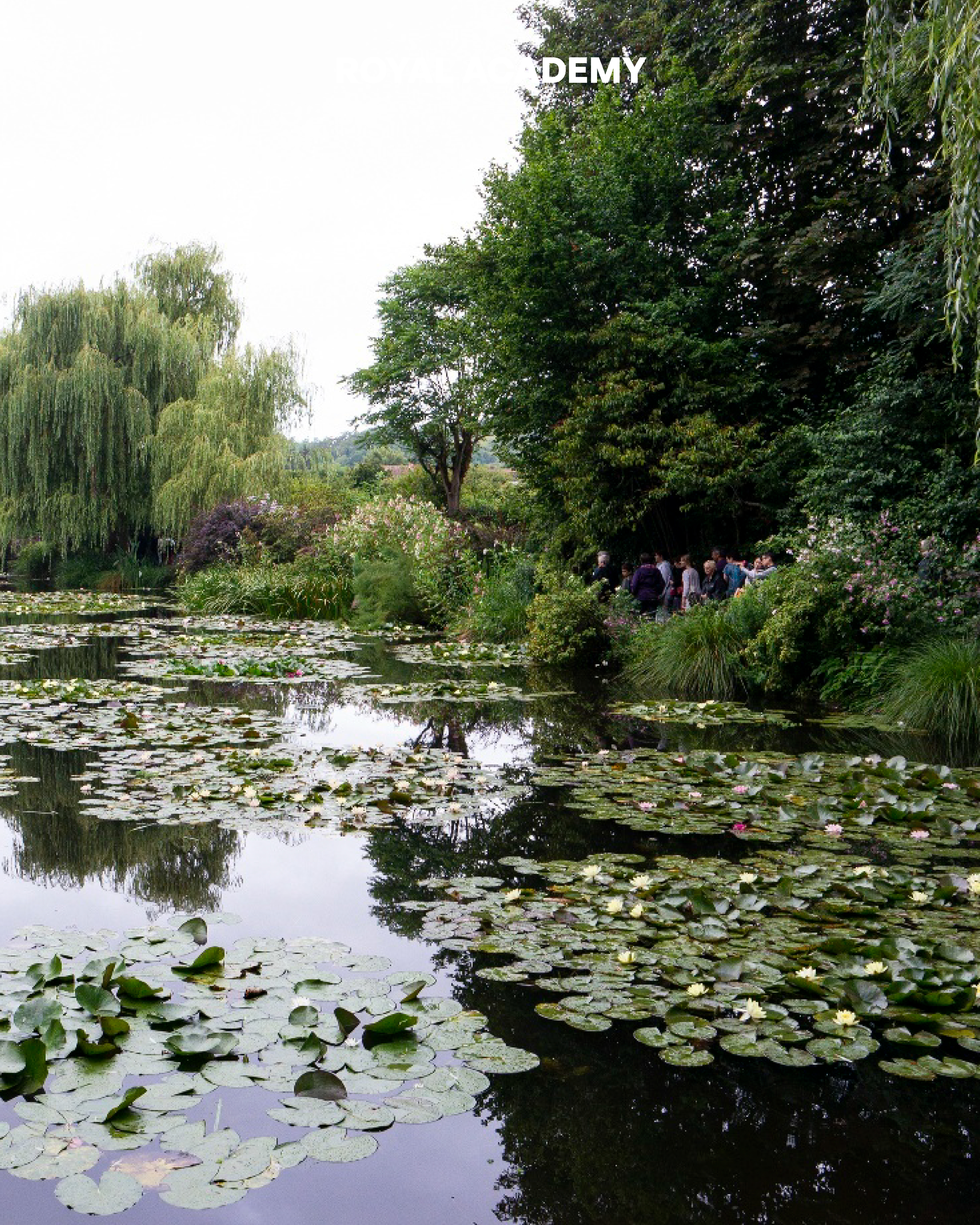 visit 대표이미지