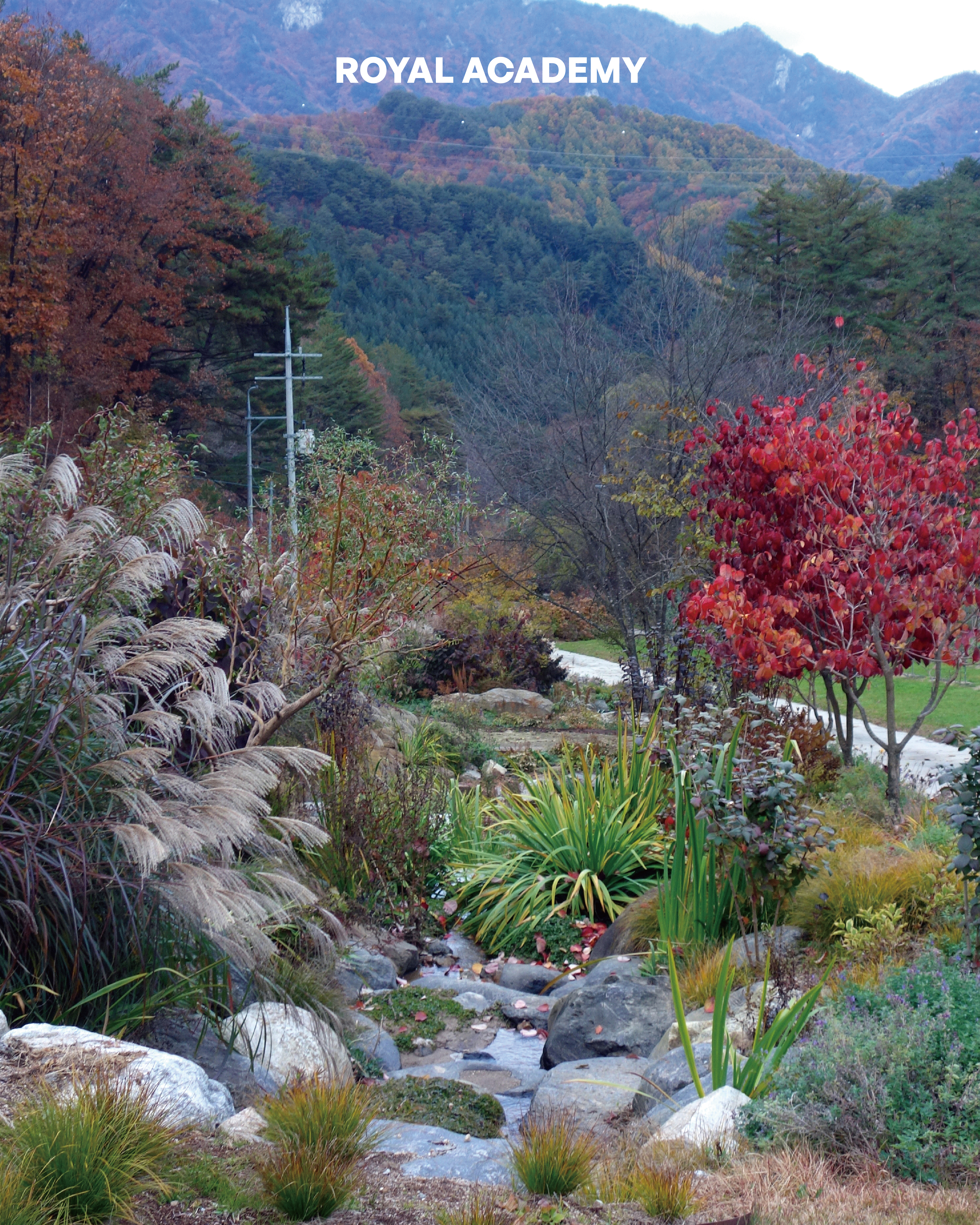 visit 대표이미지