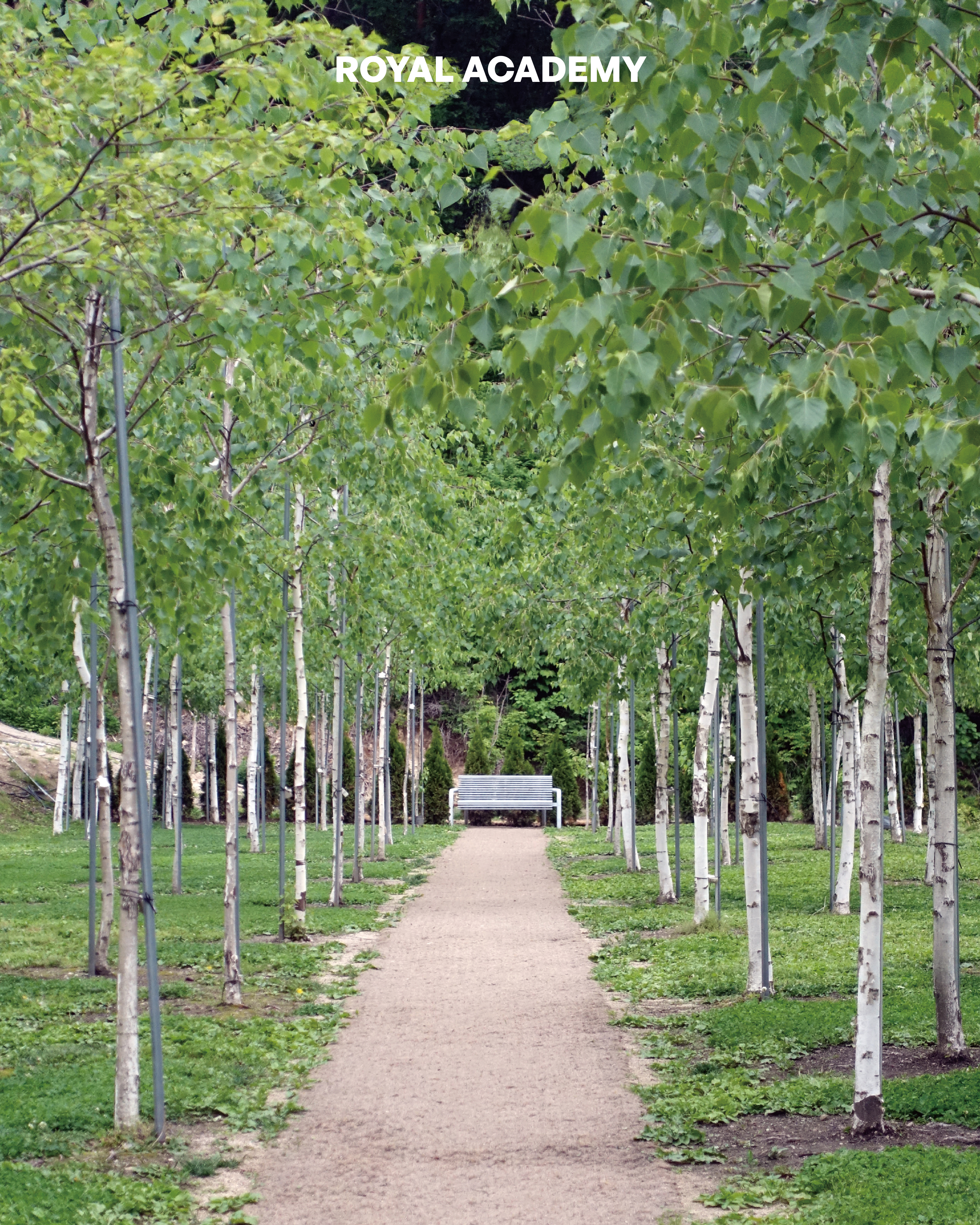 visit 대표이미지