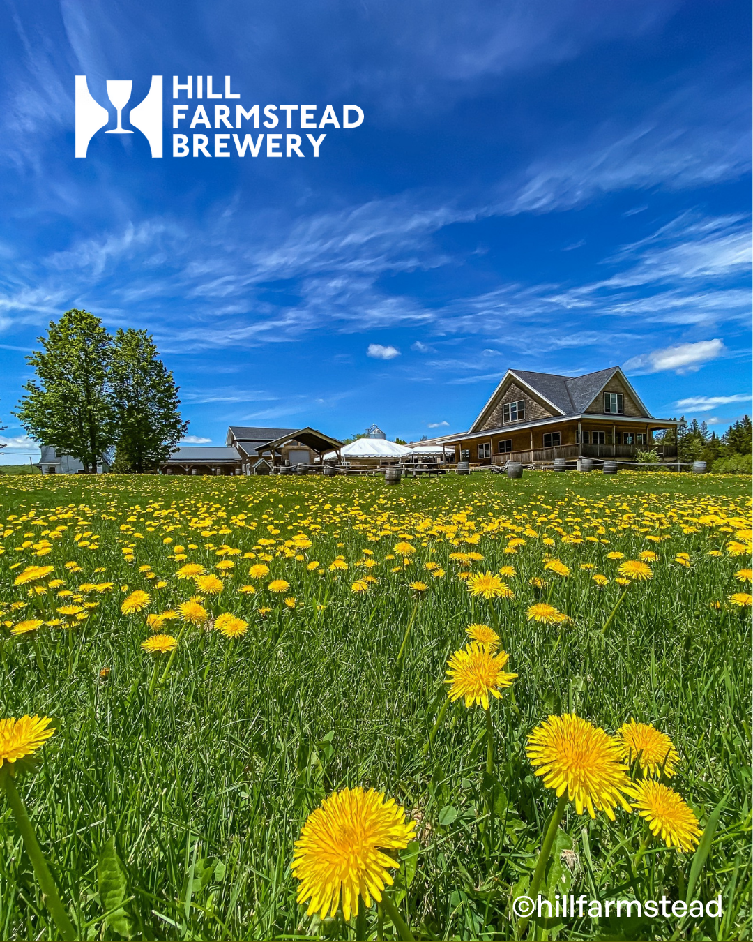 visit 대표이미지