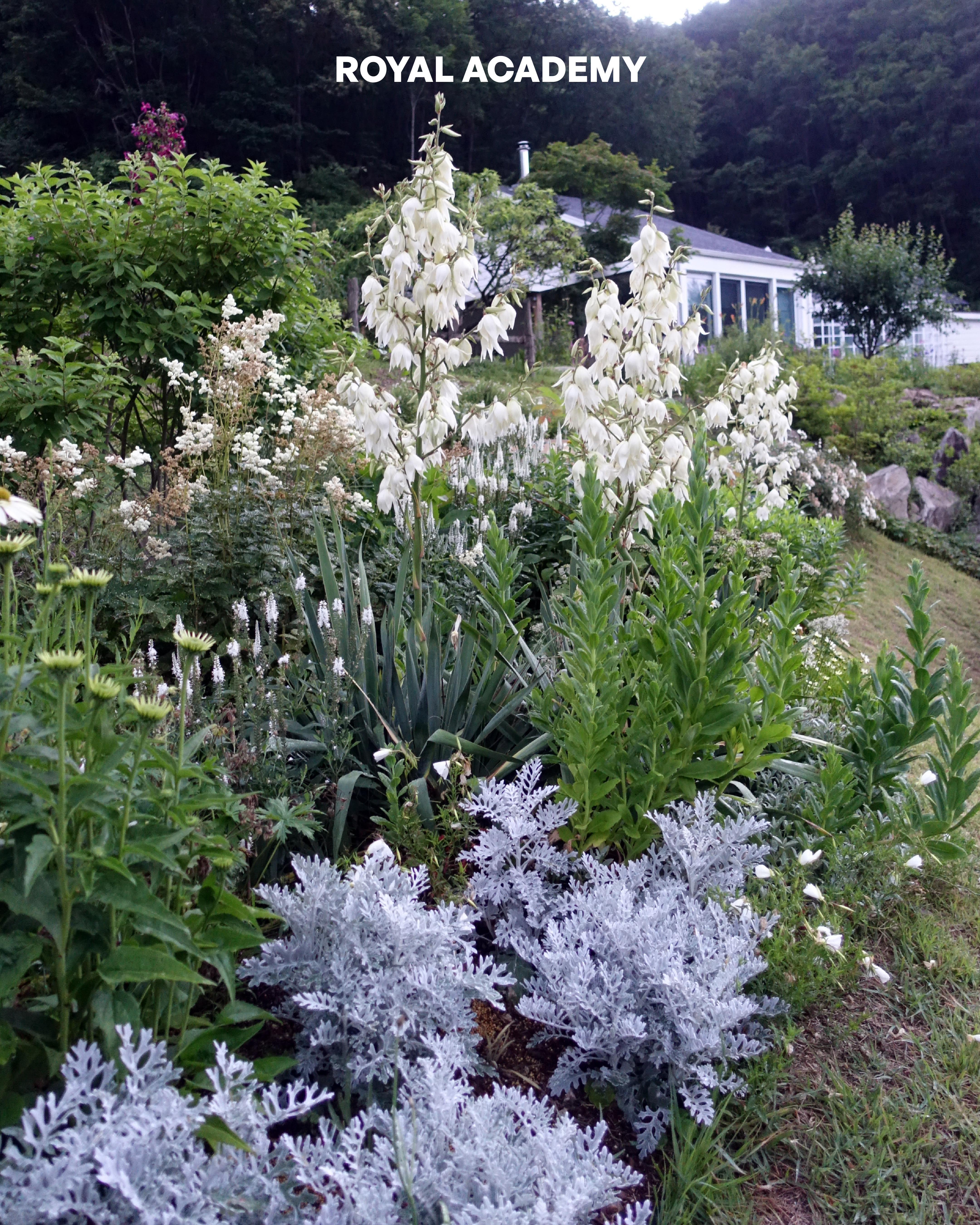 visit 대표이미지