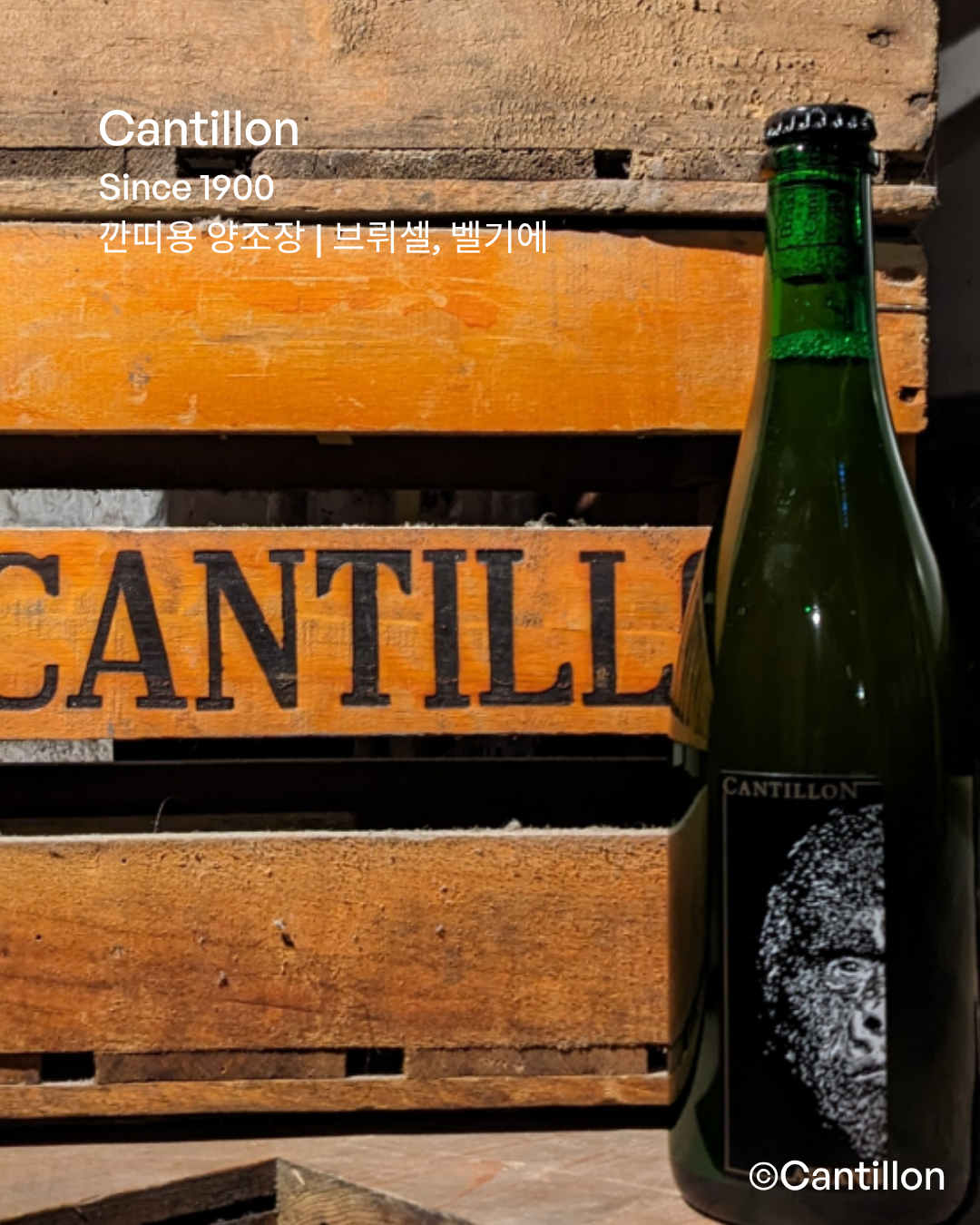 visit 대표이미지