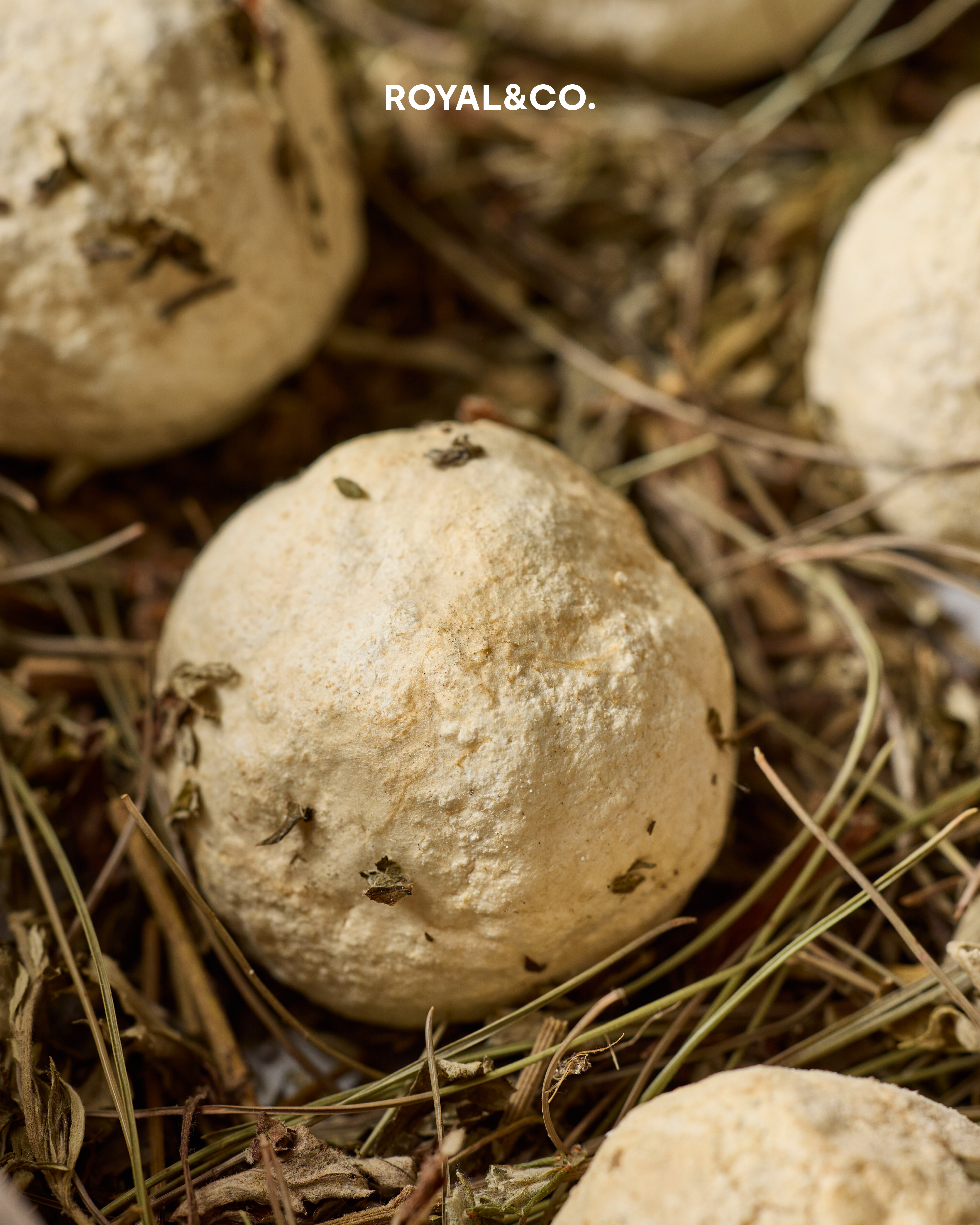 visit 대표이미지