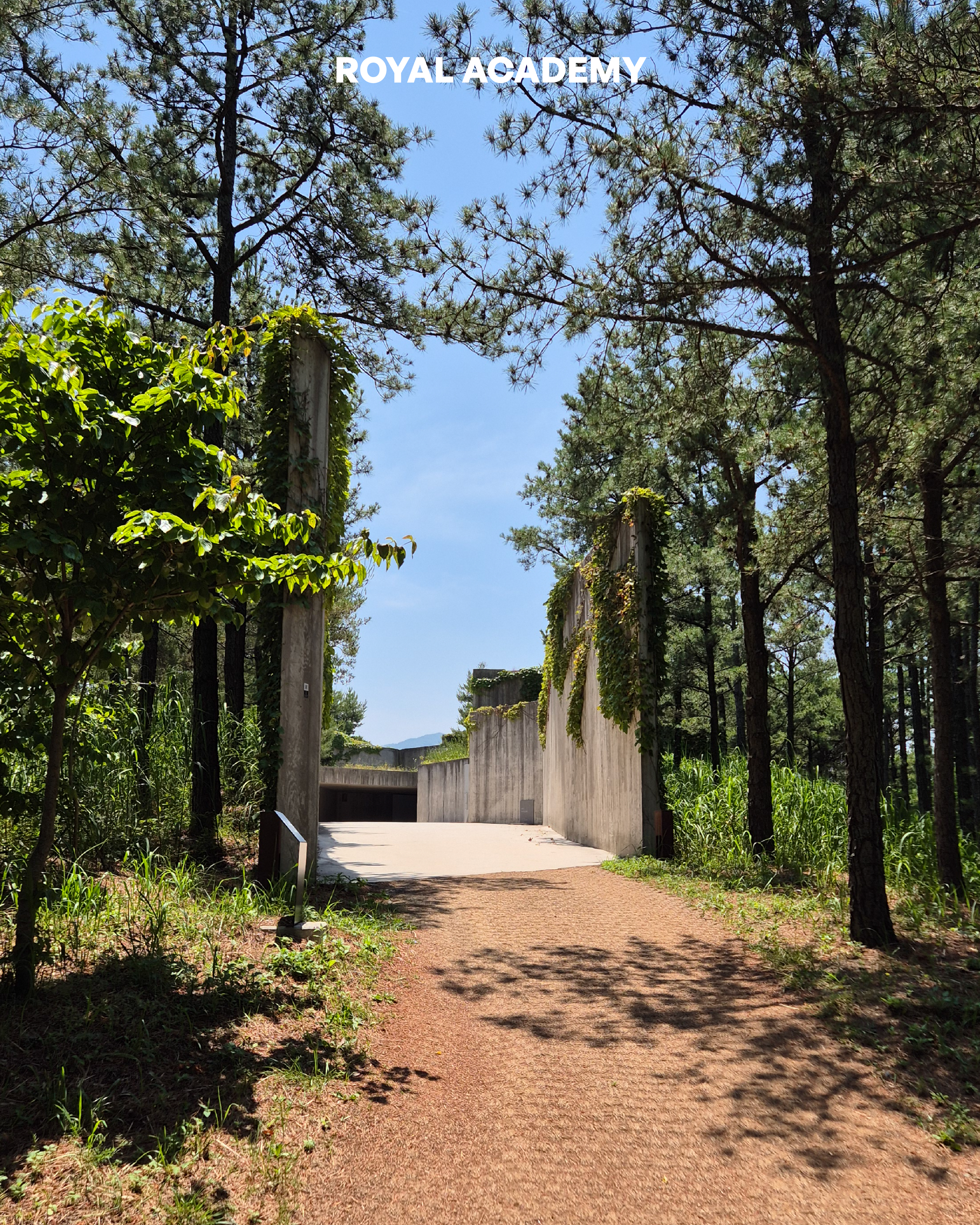 visit 대표이미지