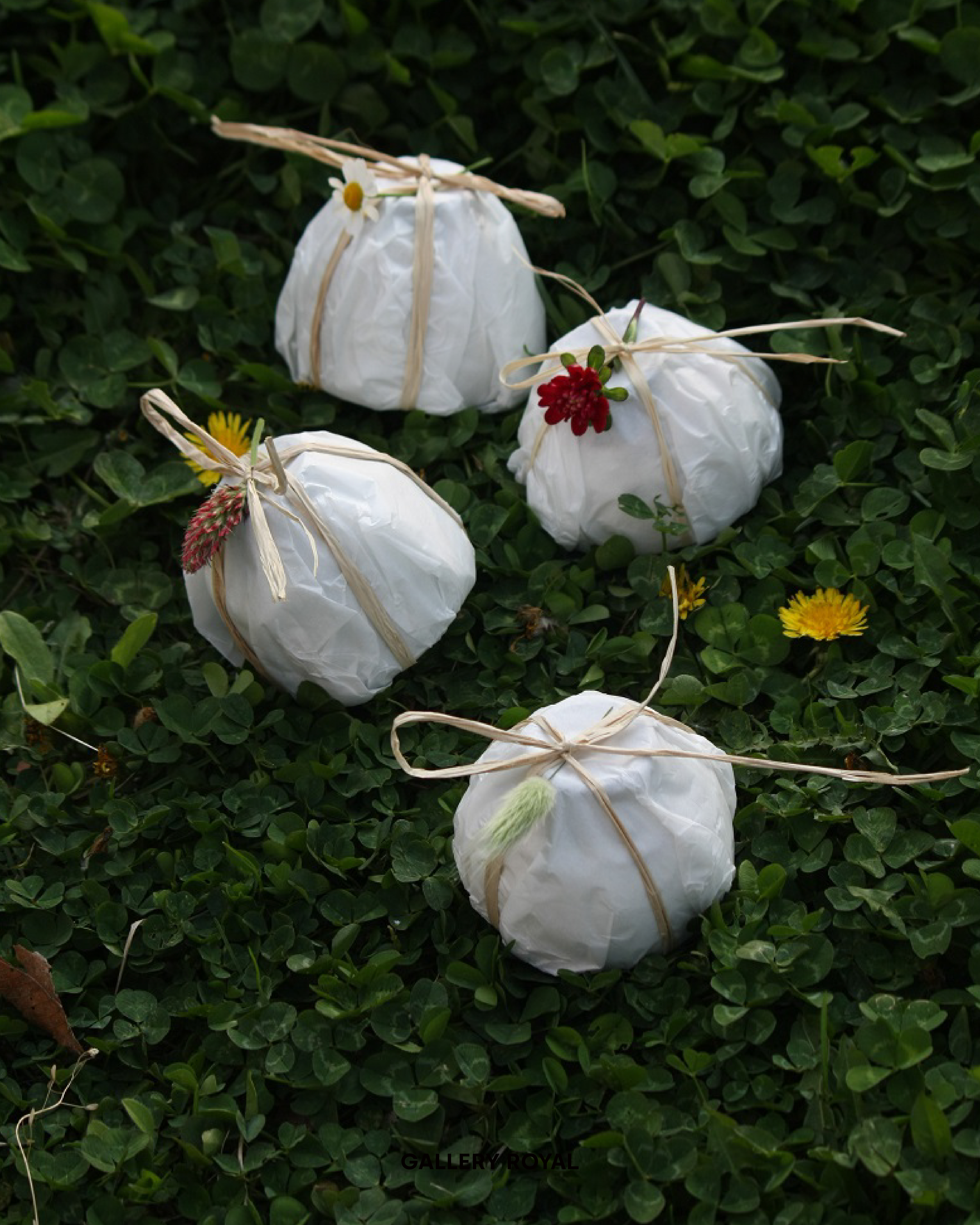 visit 대표이미지