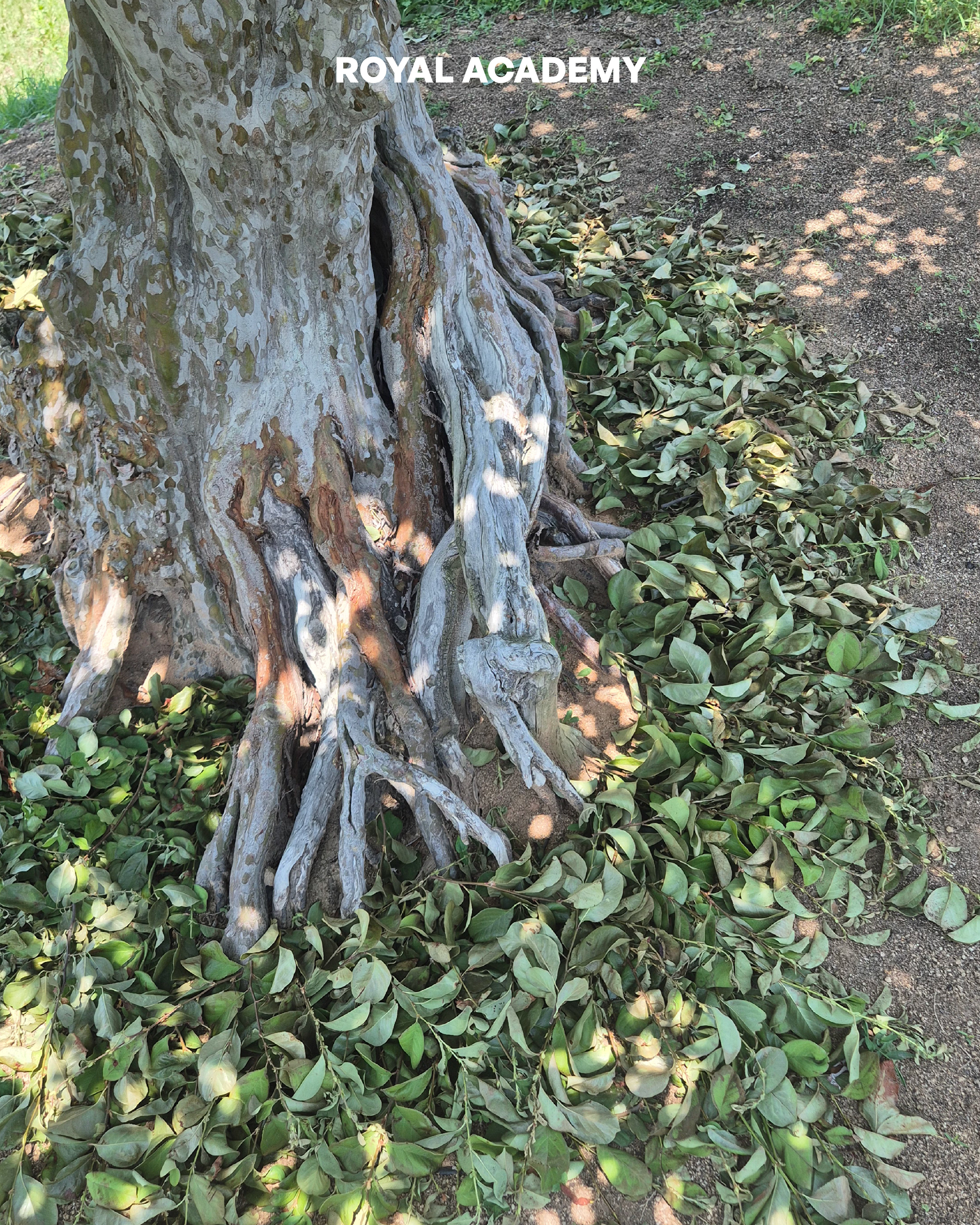 visit 대표이미지