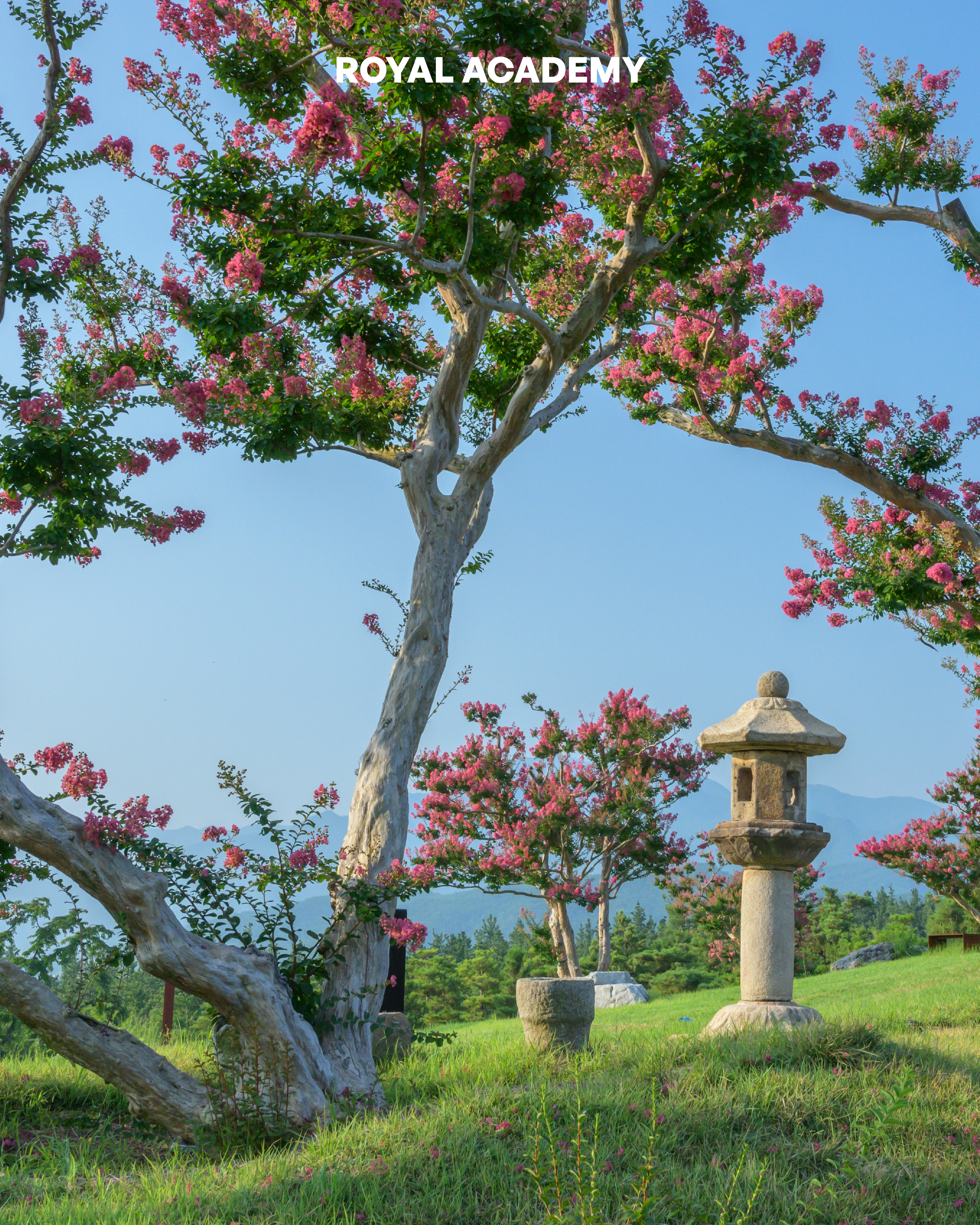 visit 대표이미지