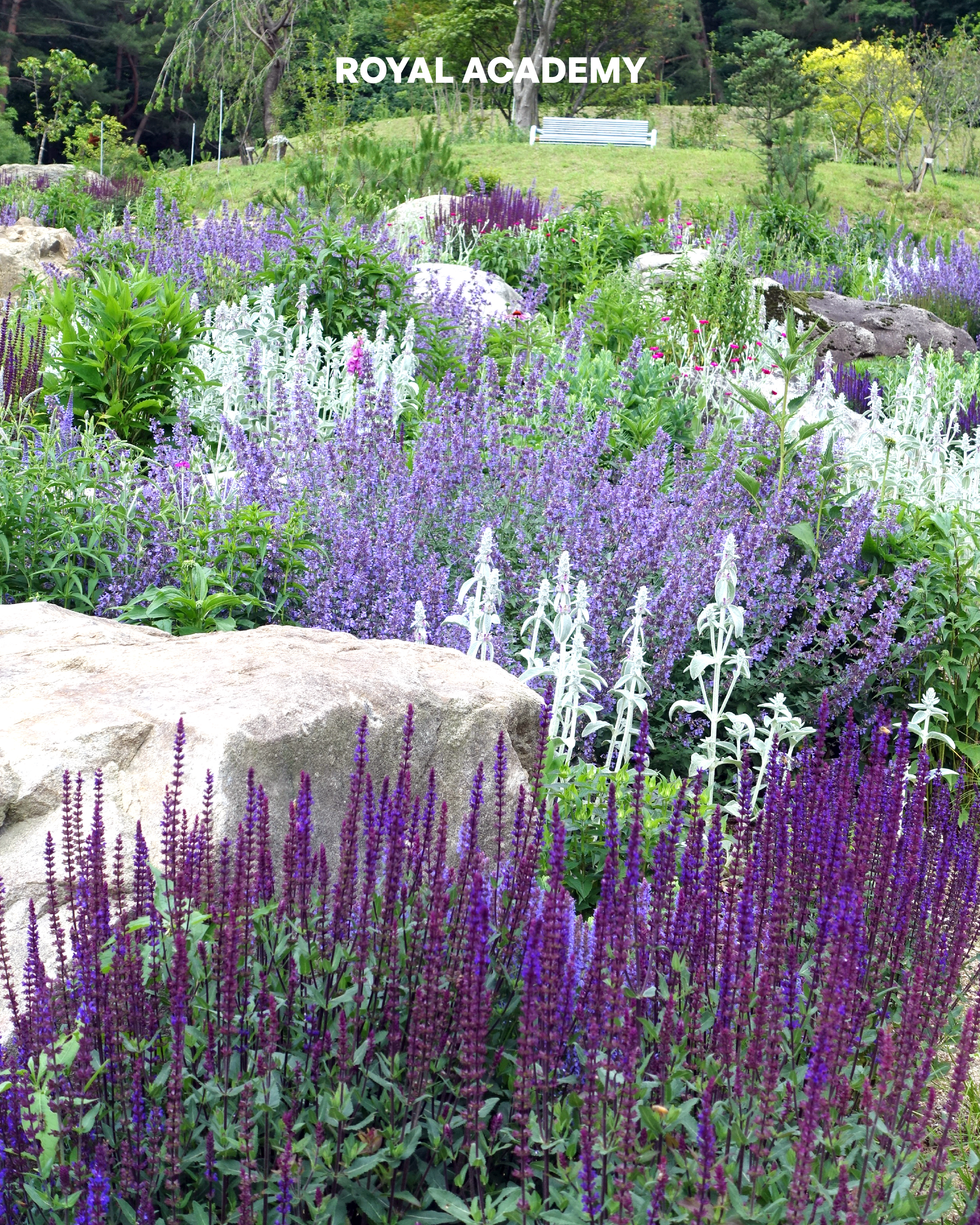 visit 대표이미지