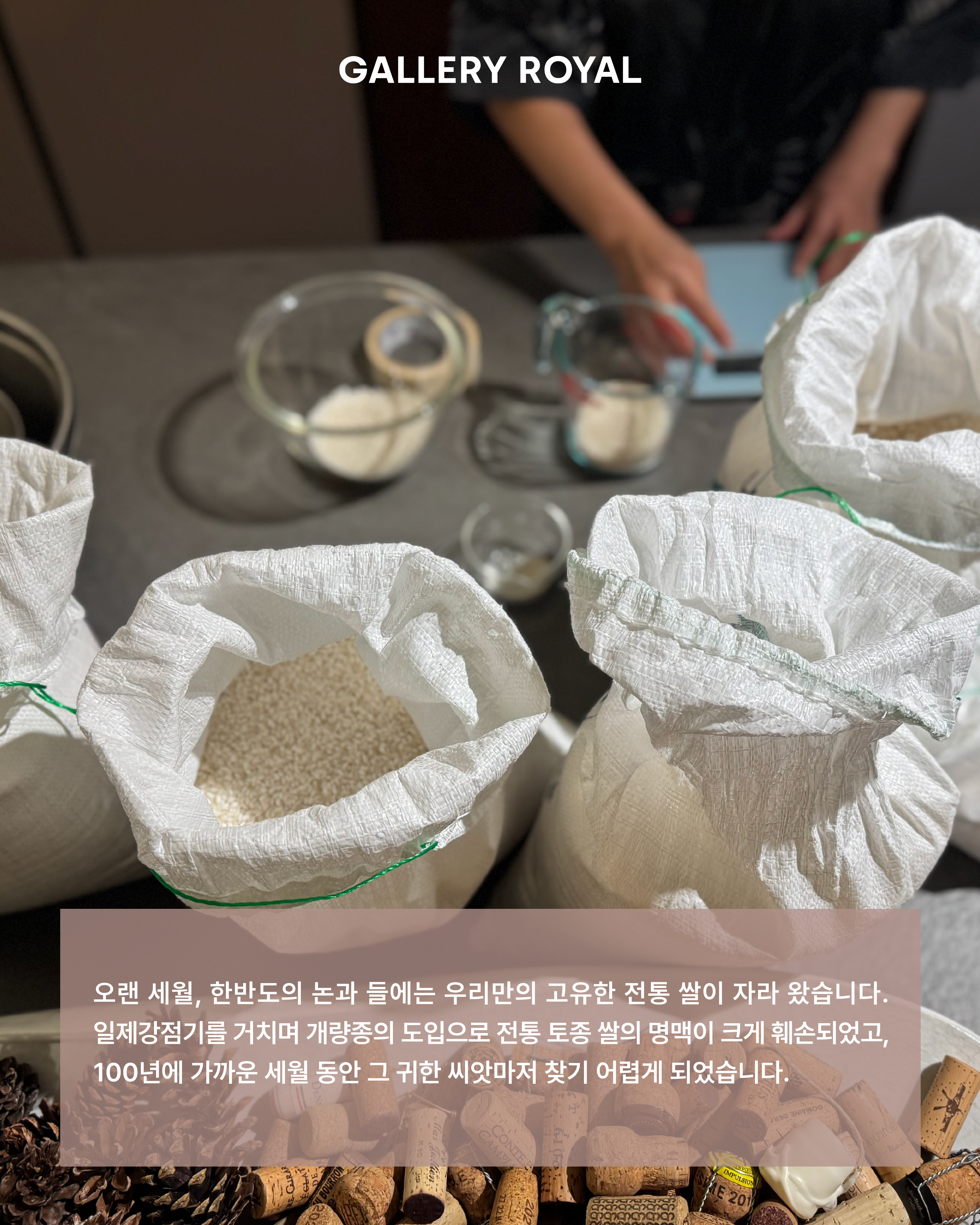 visit 대표이미지